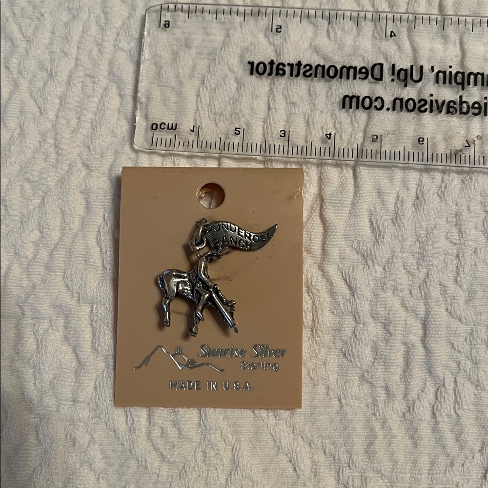 Sunrise Silver Sterling Rodeo Pendant